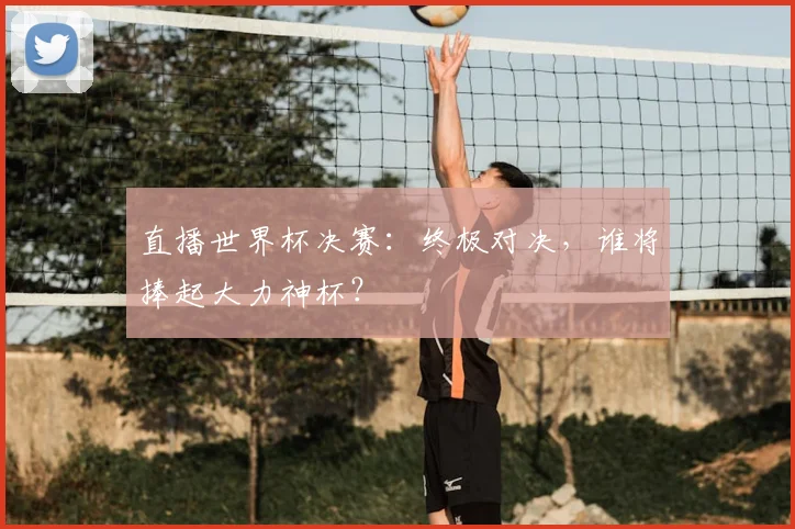 直播世界杯决赛：终极对决，谁将捧起大力神杯？